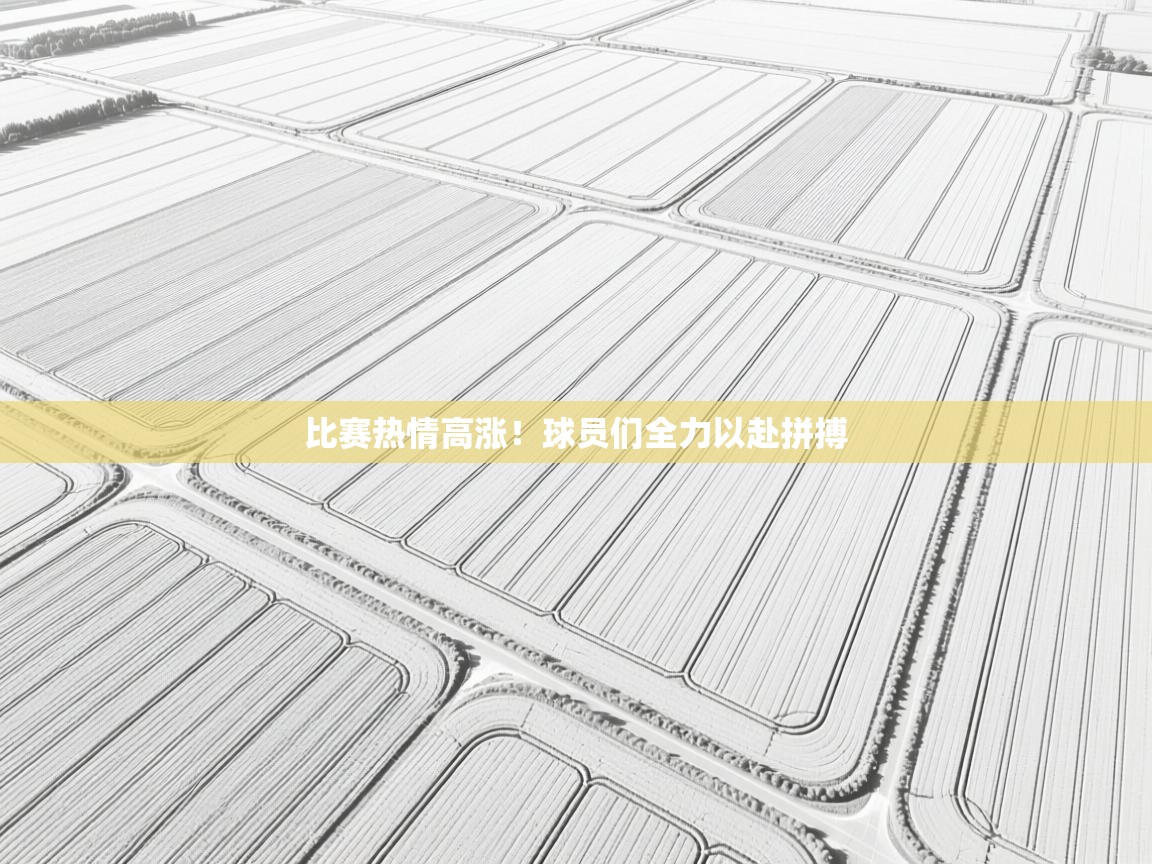 比赛热情高涨!球员们全力以赴拼搏 第1张