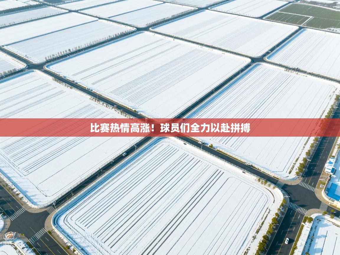 比赛热情高涨!球员们全力以赴拼搏 第2张