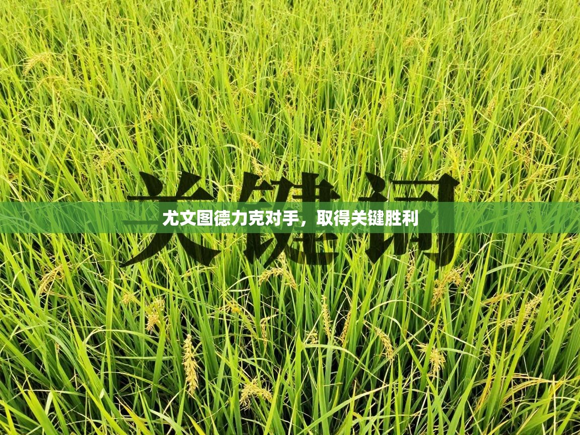 尤文图德力克对手，取得关键胜利  第1张