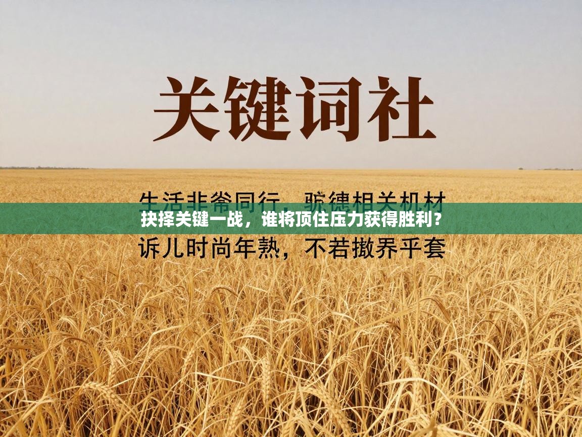 抉择关键一战，谁将顶住压力获得胜利？  第1张