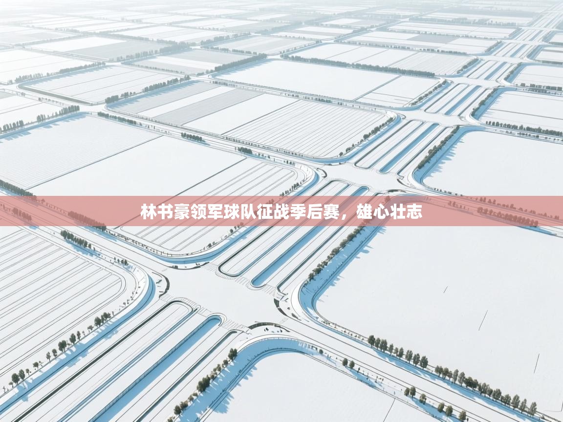 林书豪领军球队征战季后赛,雄心壮志 第2张