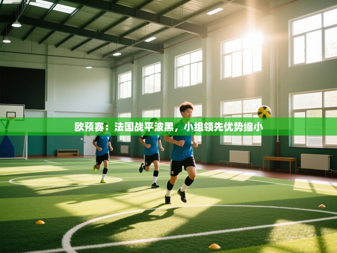 欧预赛：法国战平波黑，小组领先优势缩小