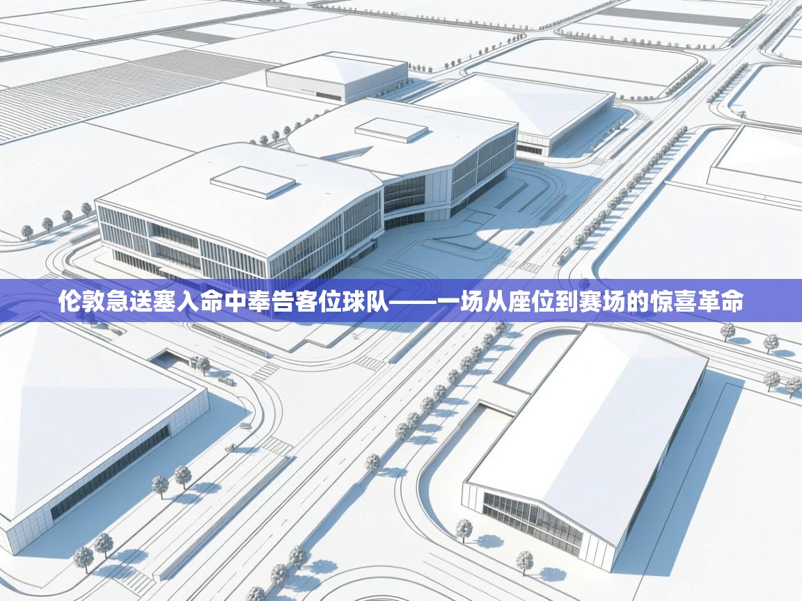 伦敦急送塞入命中奉告客位球队——一场从座位到赛场的惊喜革命  第1张