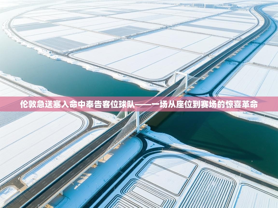 伦敦急送塞入命中奉告客位球队——一场从座位到赛场的惊喜革命  第2张
